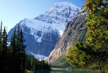 构建教师个人成长档案袋,记录、反思与提升