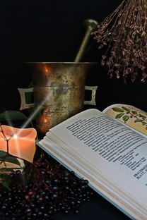 父母受教育的经历,影响与启示 父母受教育的经历,影响与启示