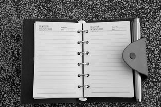 初中家庭教育计划书的撰写指南 初中家庭教育计划书的撰写指南