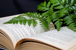 爱伴我成长，教育中的情感力量