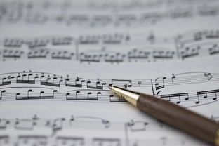 中学生家庭教育计划的制定与实施 中学生家庭教育计划的制定与实施