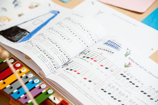 教育期刊的级别划分,省级与国家级的辨析 教育期刊的级别划分,省级与国家级的辨析