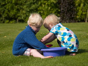 教育平等，构建公平社会的基石