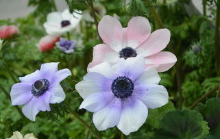 温暖人心,触动心灵的暖心短句 温暖人心,触动心灵的暖心短句